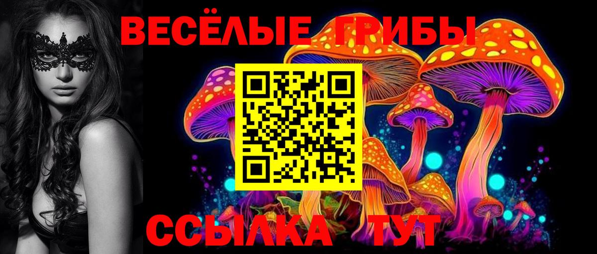 Магнитогорск  Псилоцибиновые грибы GOLDEN TEACHER  Галлюциногенные грибы ЛСД  Вход с VPN 