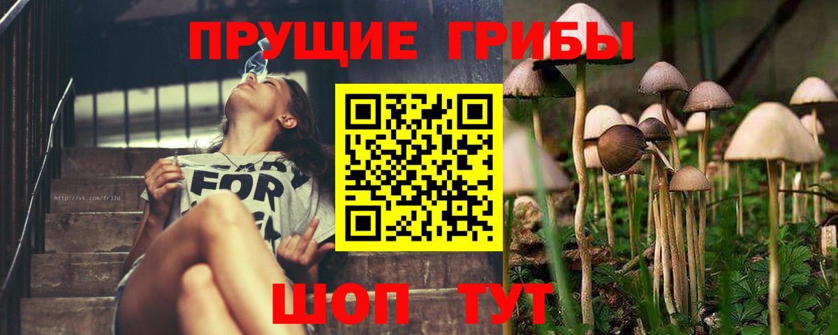 Галлюциногенные грибы Psilocybine cubensis Магнитогорск